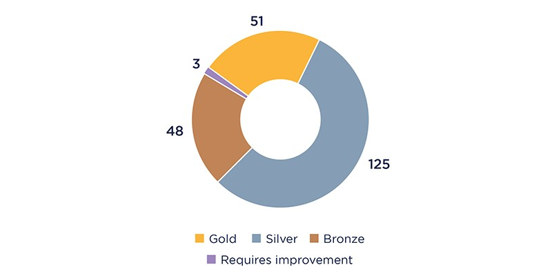 Donut showing overall ratings of providers