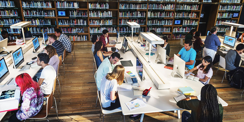 University students studying in a library