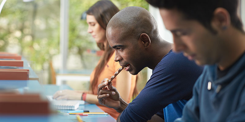 Three students studying