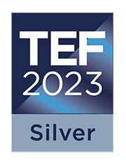 TEF Silver icon