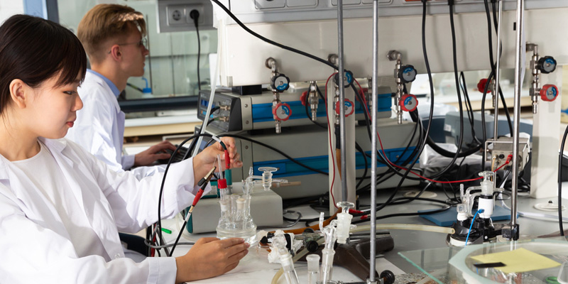 Students working in laboratory